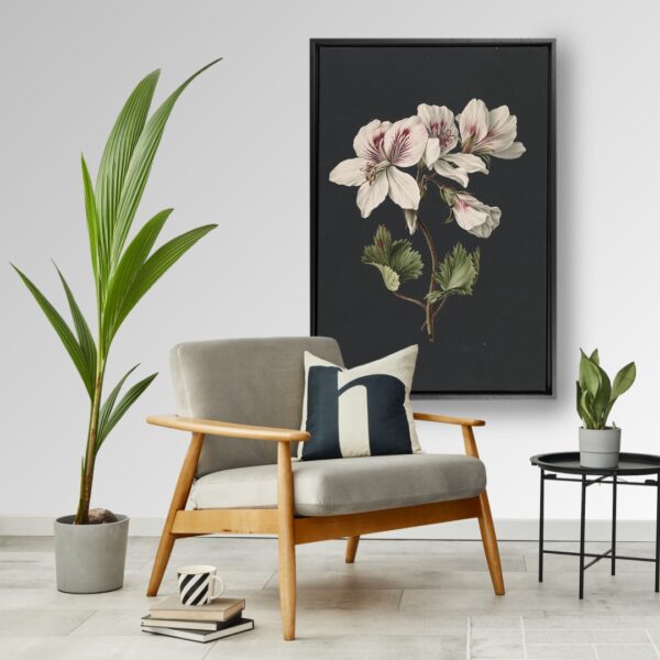 Pelargonium op Canvas